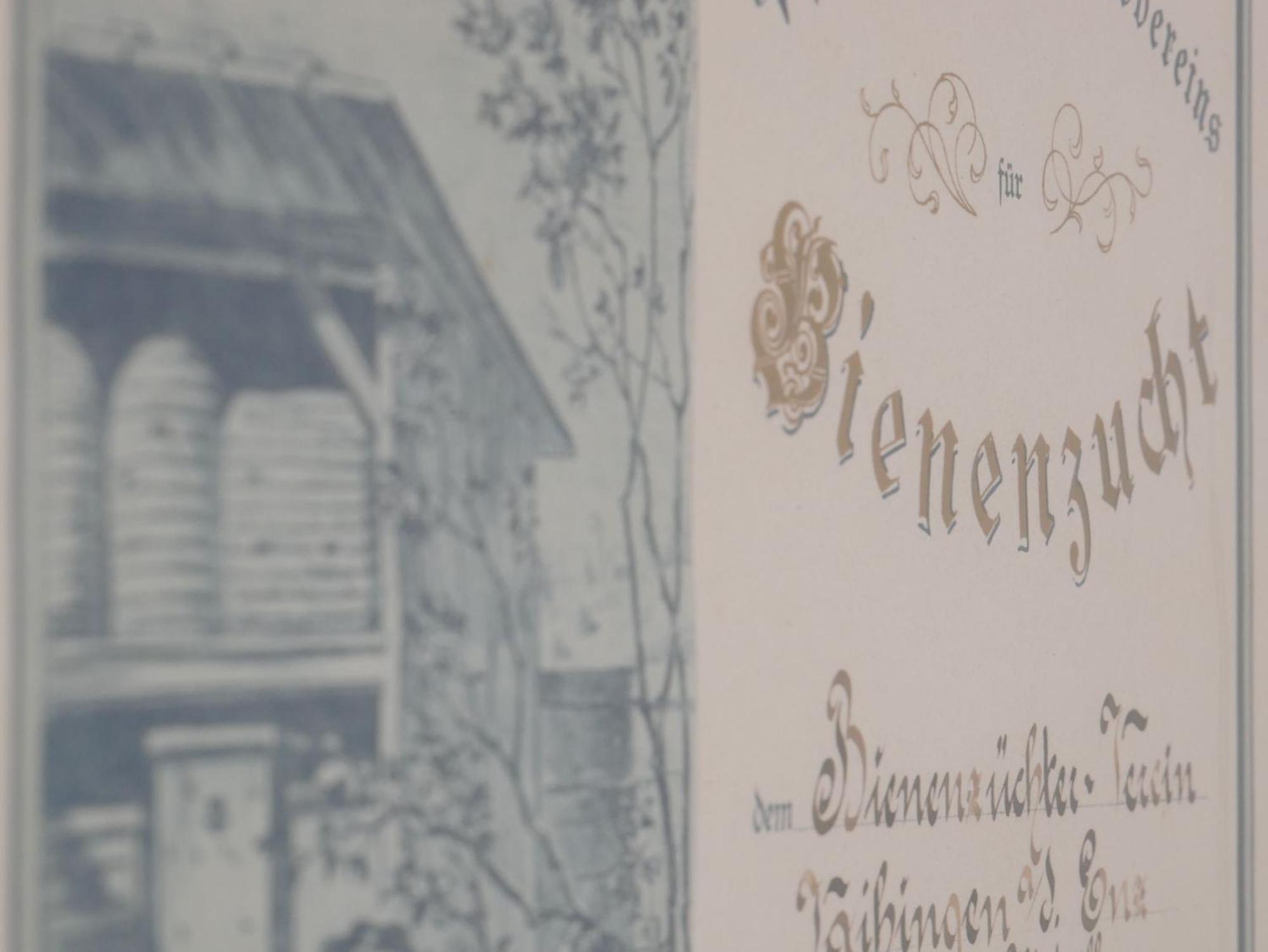 Ferienwohnungen Knodel Sachsenheim Esterno foto