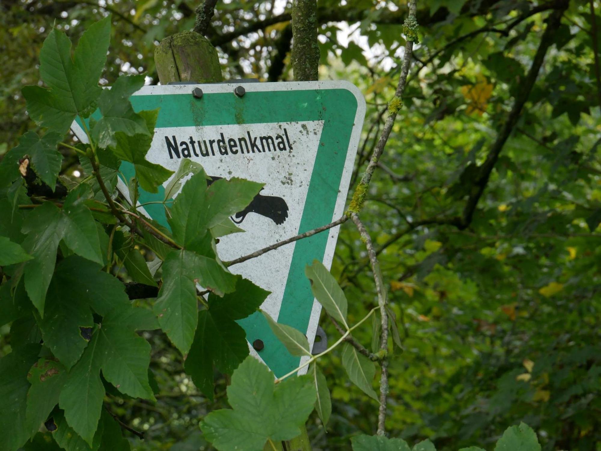 Ferienwohnungen Knodel Sachsenheim Esterno foto